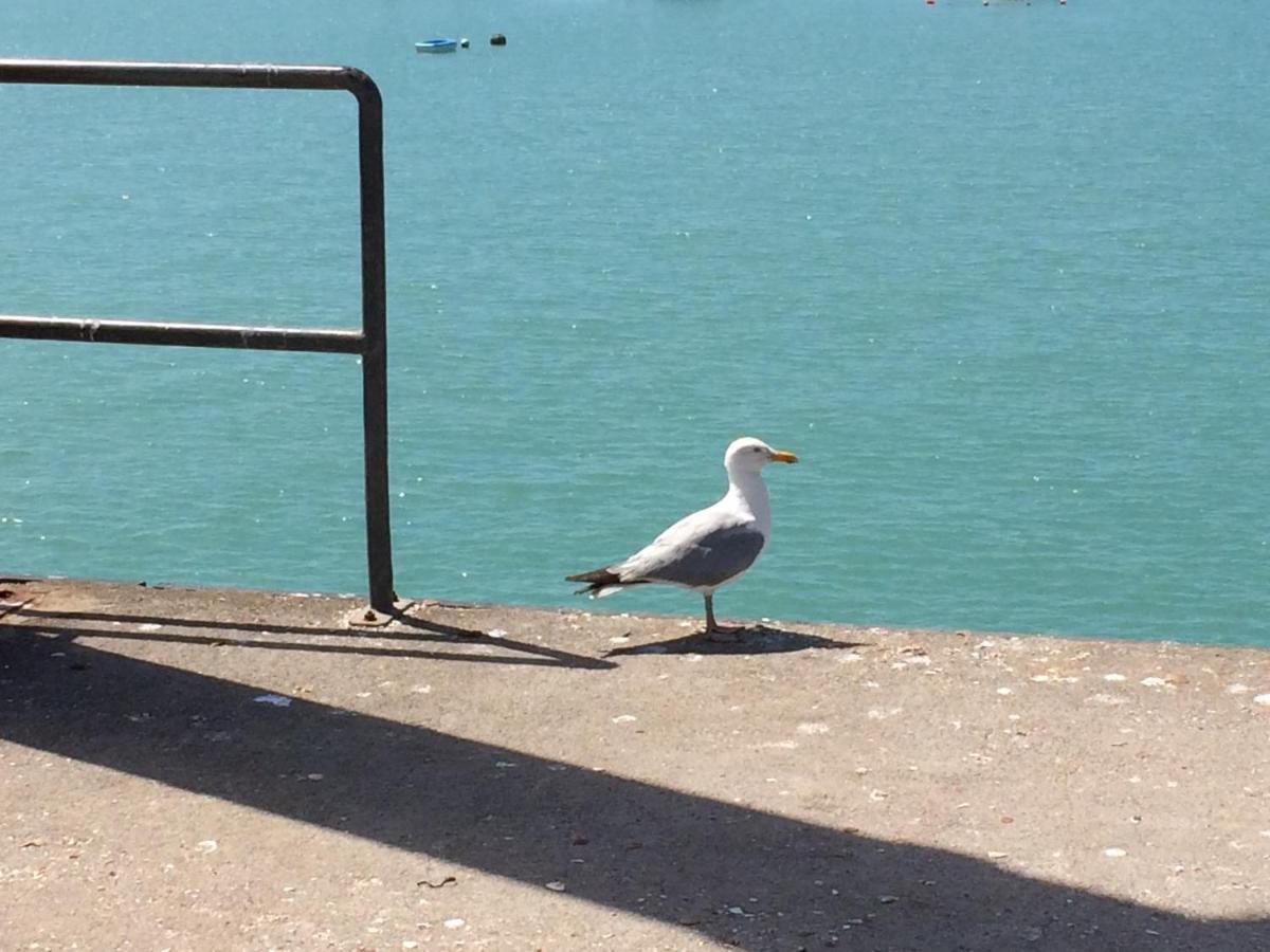 Les Pieds Dans L'eau *